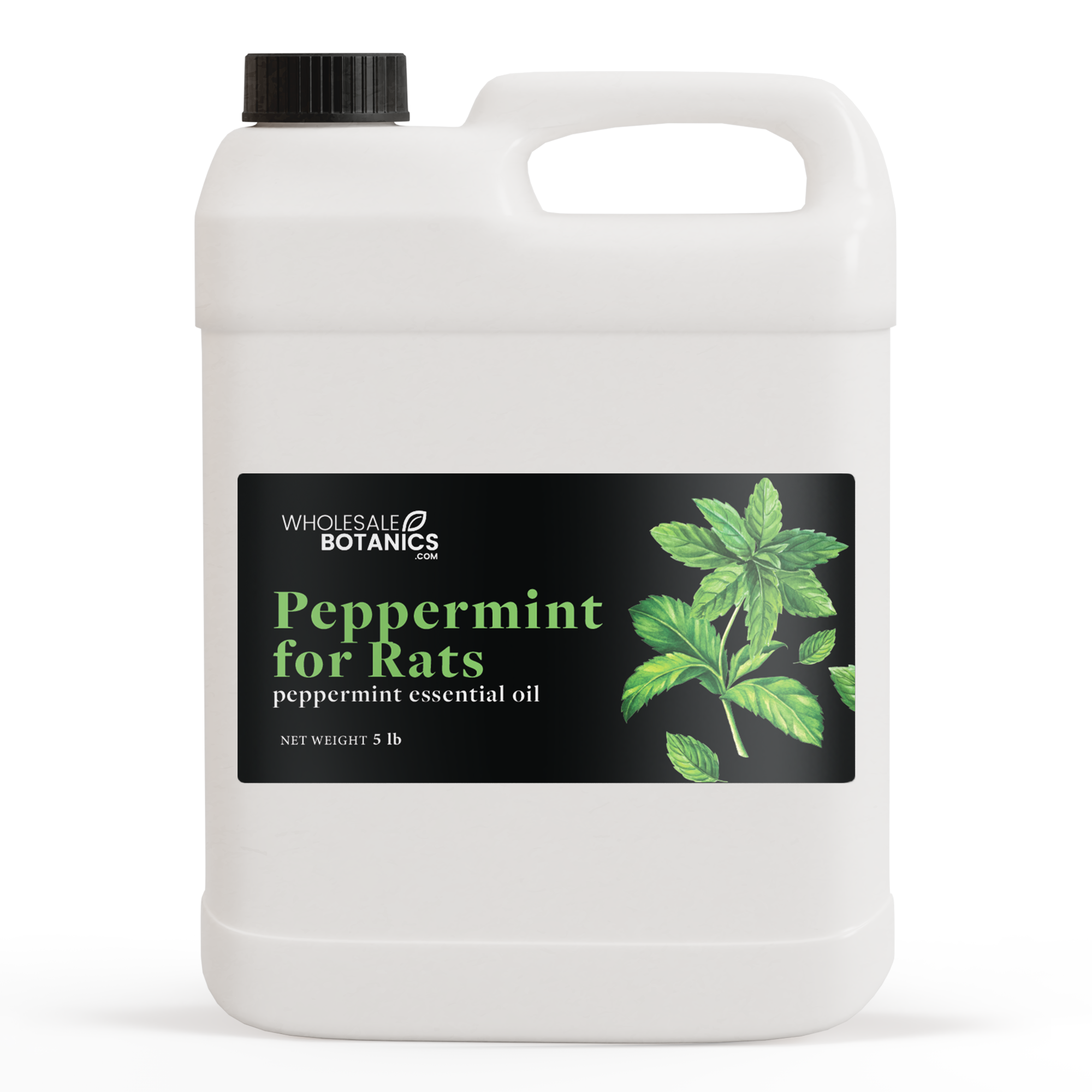 Peppermint Oil for Rats