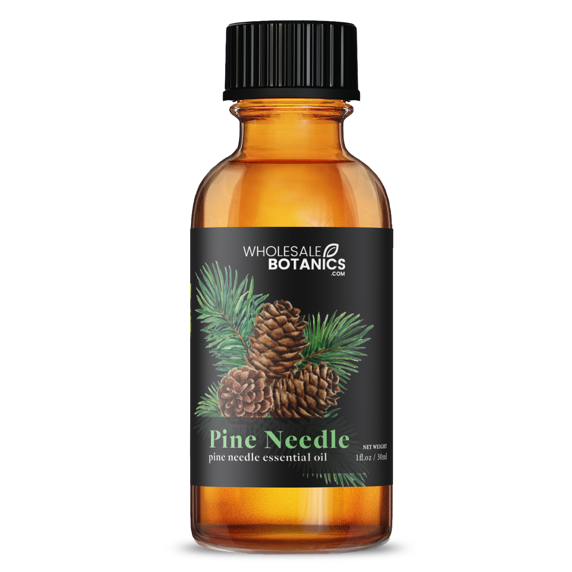 Pine Needle Essential Oil — Wholesale Botanics