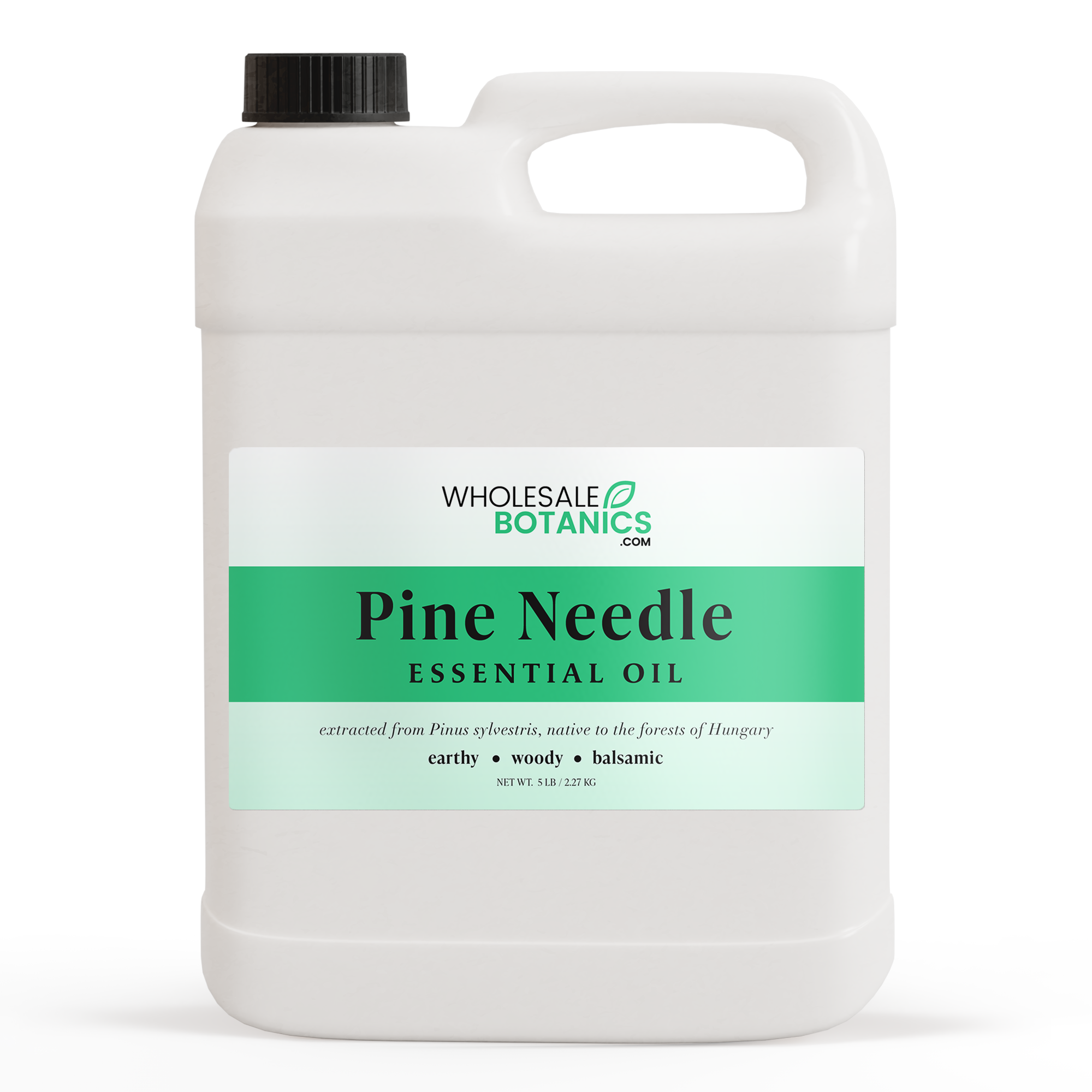 Pine Needle Essential Oil