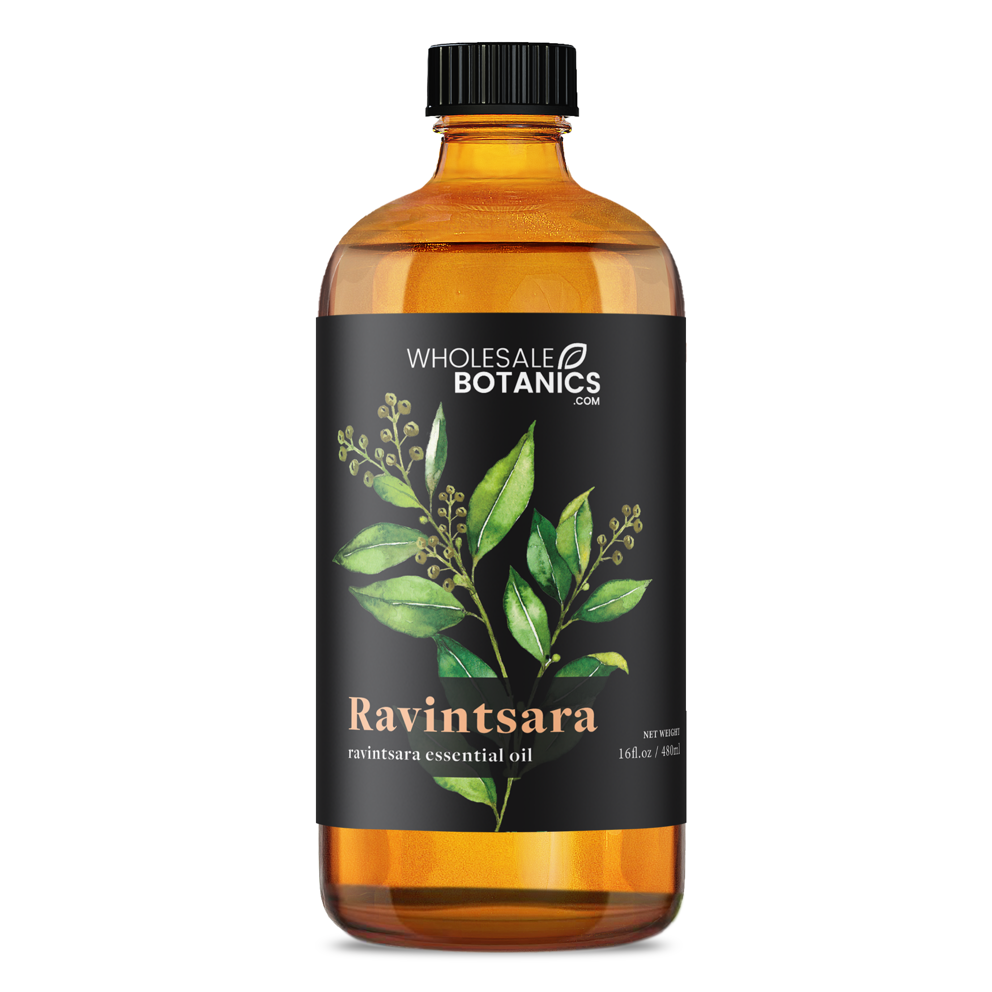 100% Pure and Natural Ravintsara Essential Oil