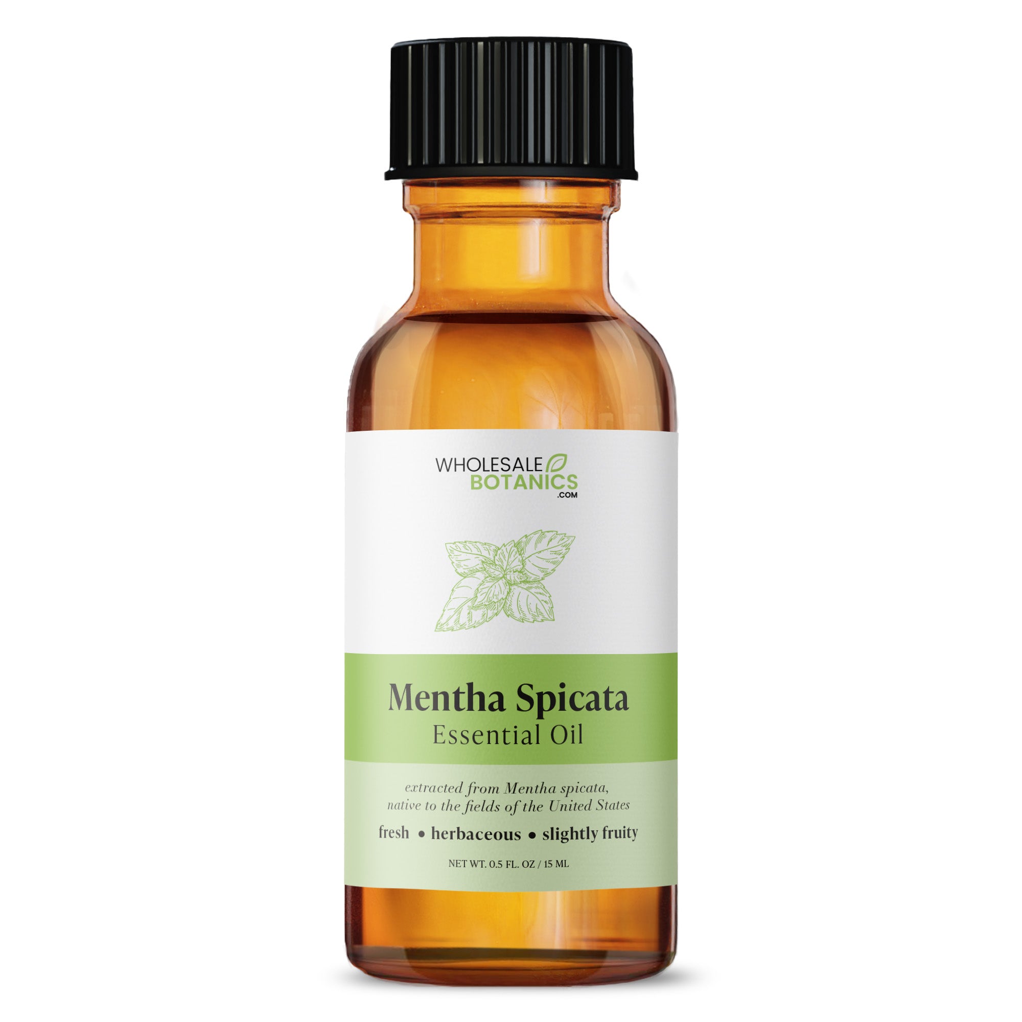 Mentha Spicata Essential Oil