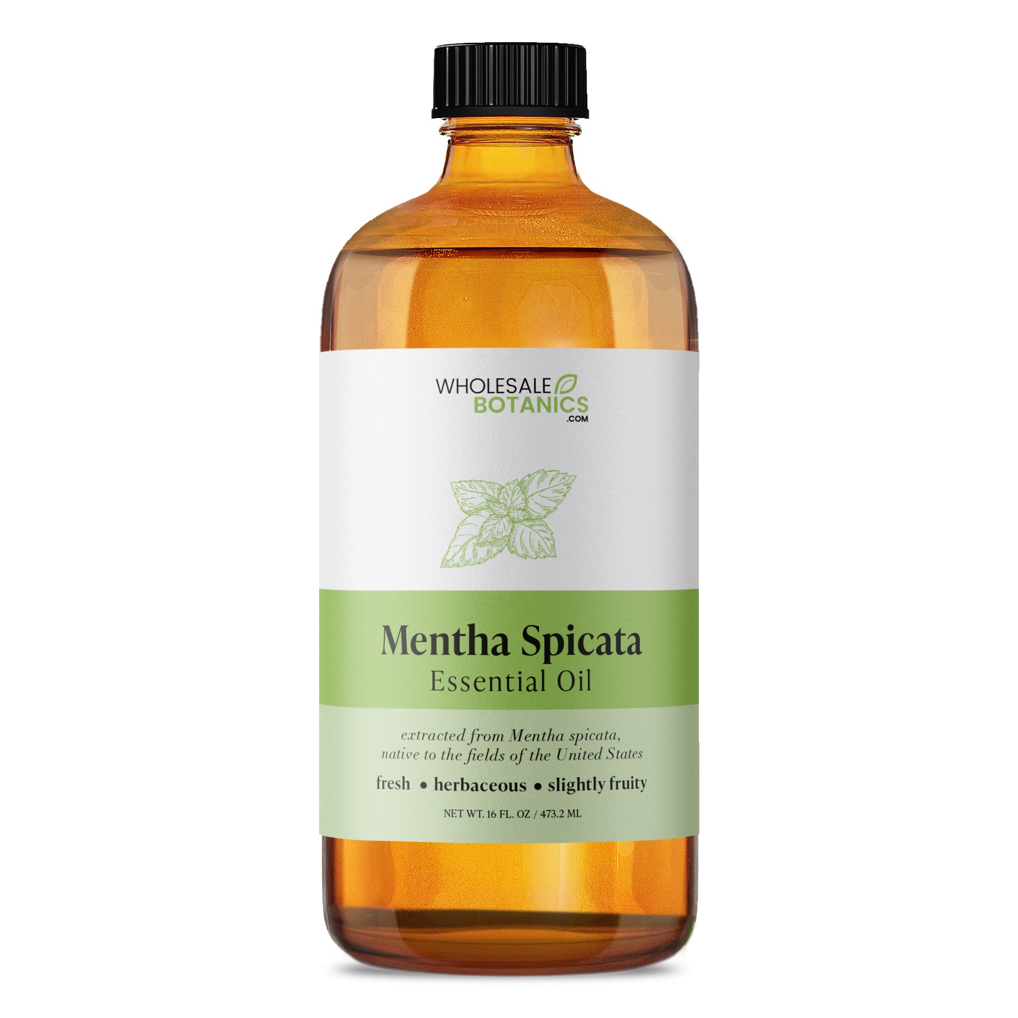 Mentha Spicata Essential Oil