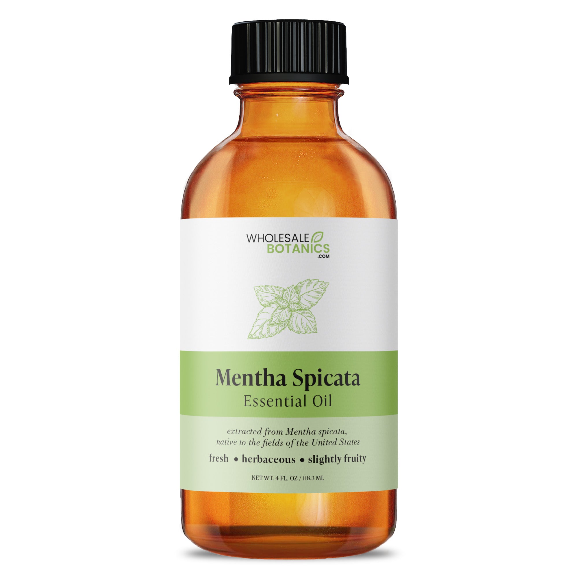 Mentha Spicata Essential Oil