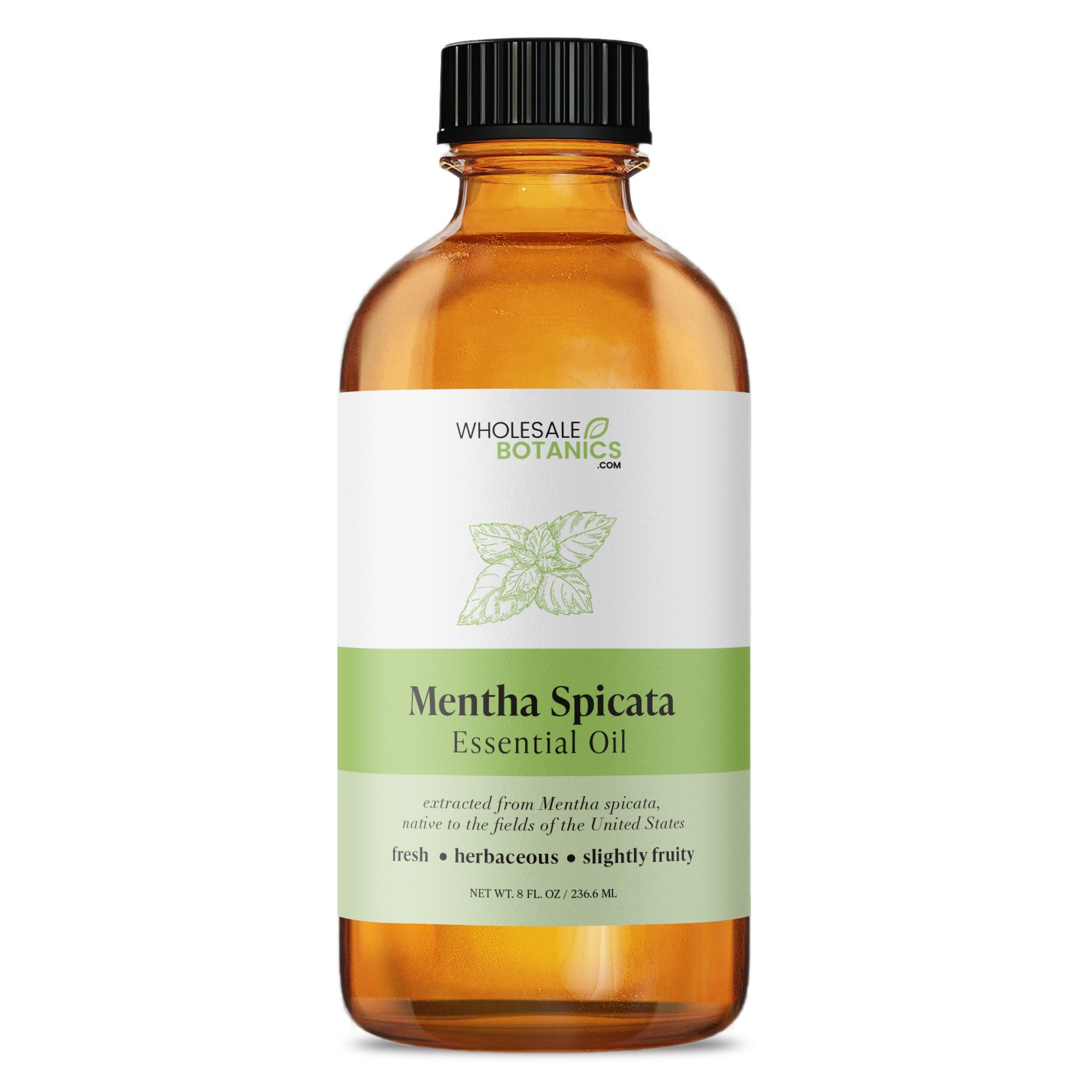 Mentha Spicata Essential Oil