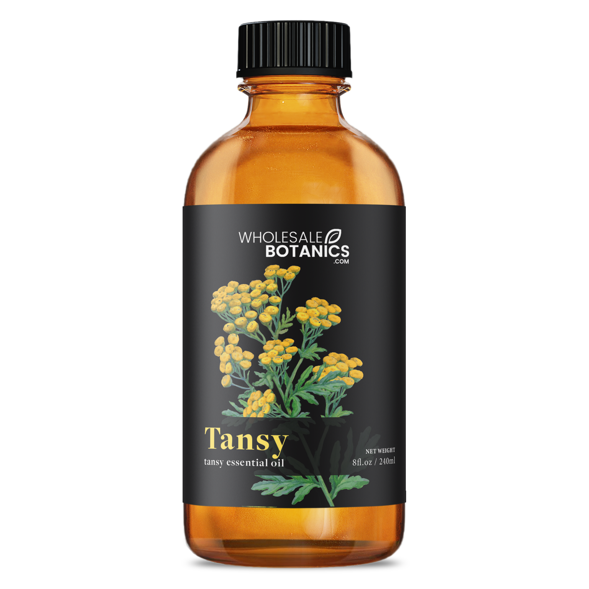 Tansy Essential Oil