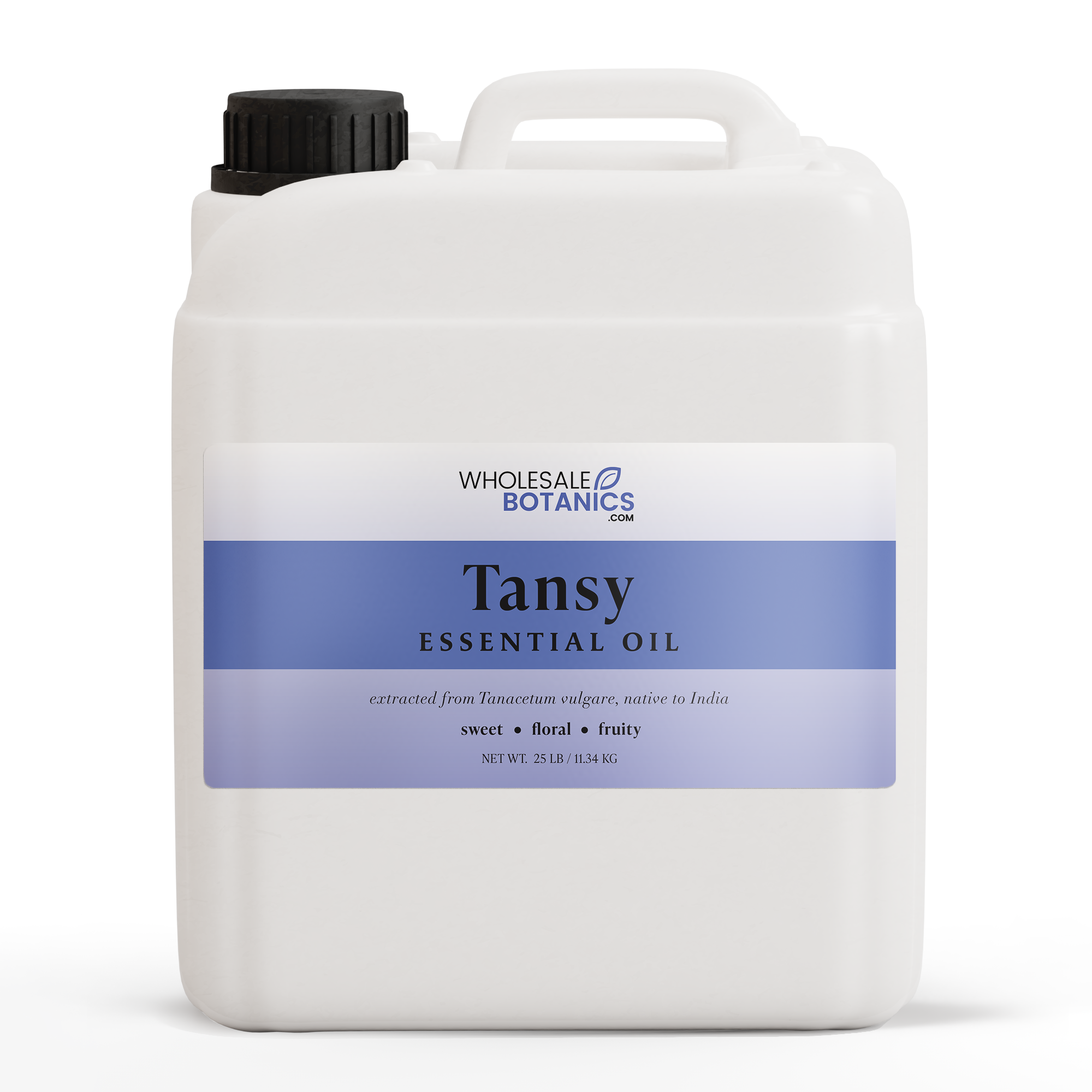 Tansy Essential Oil