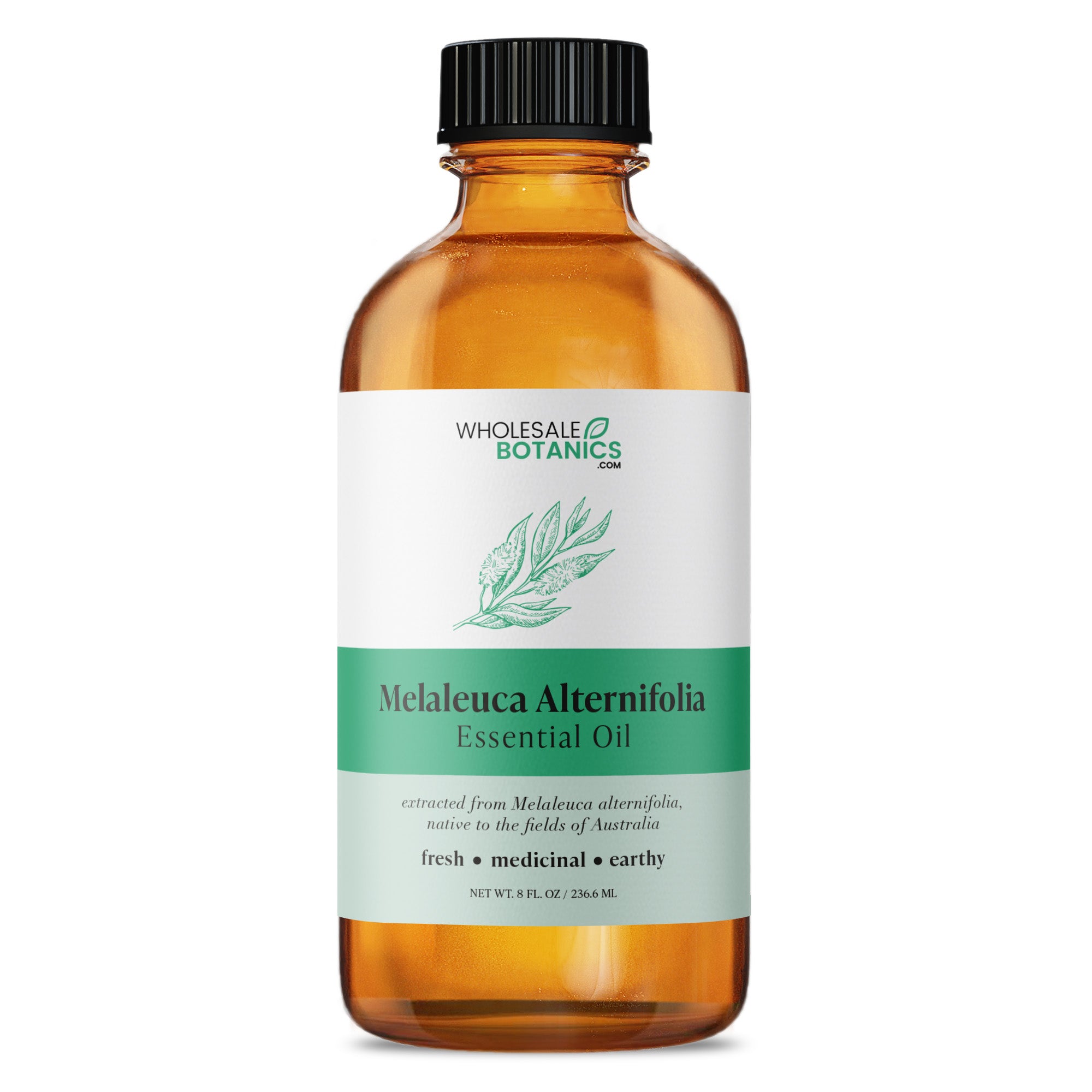 Melaleuca Alternifolia Essential Oil