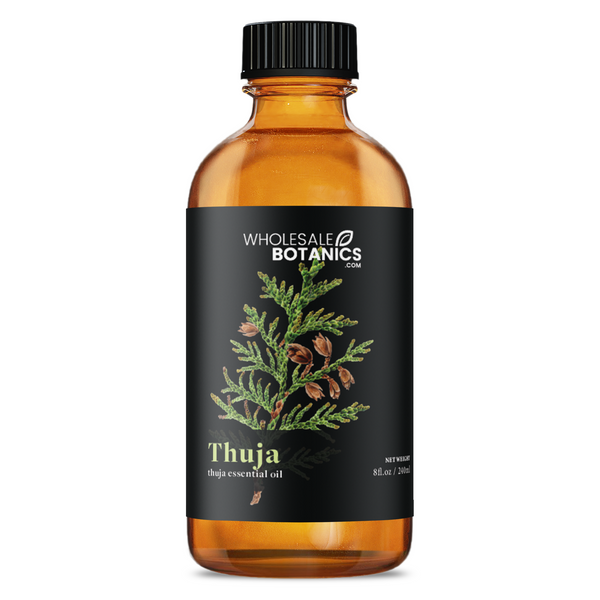 Thuja Essential Oil — Wholesale Botanics