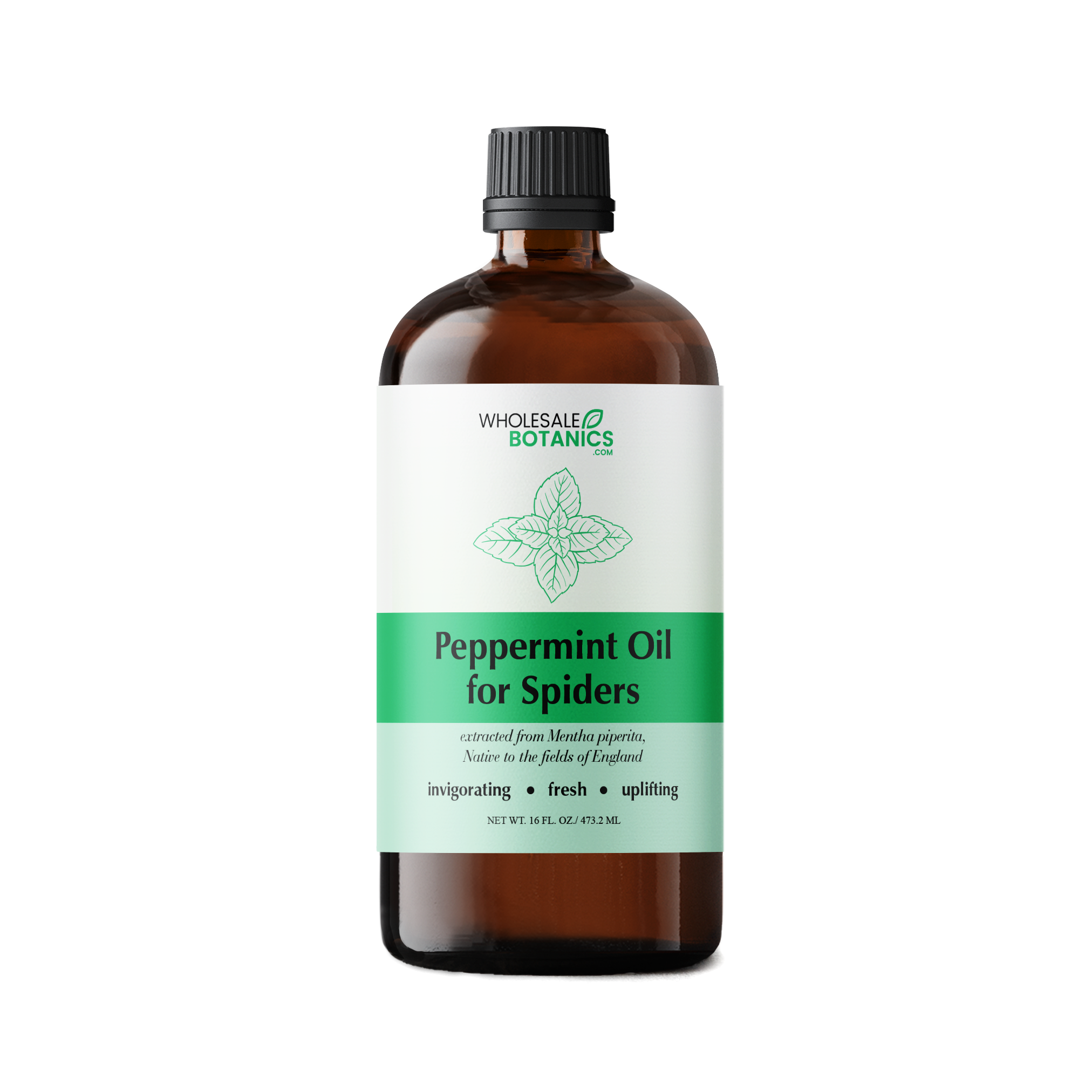 Peppermint Oil for Spiders