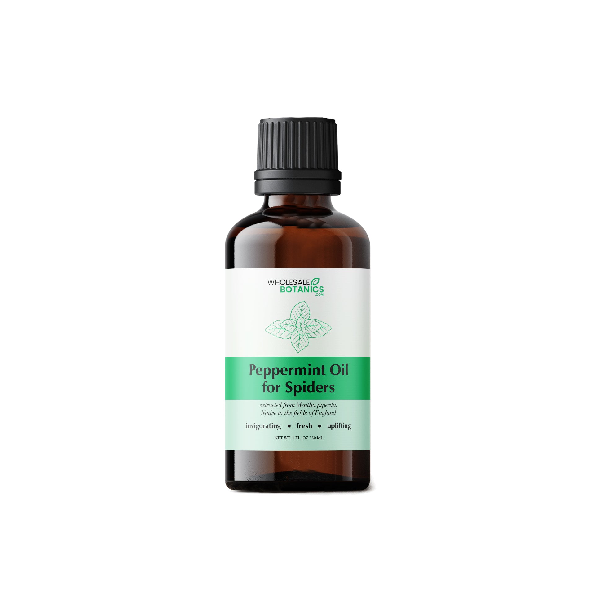 Peppermint Oil for Spiders