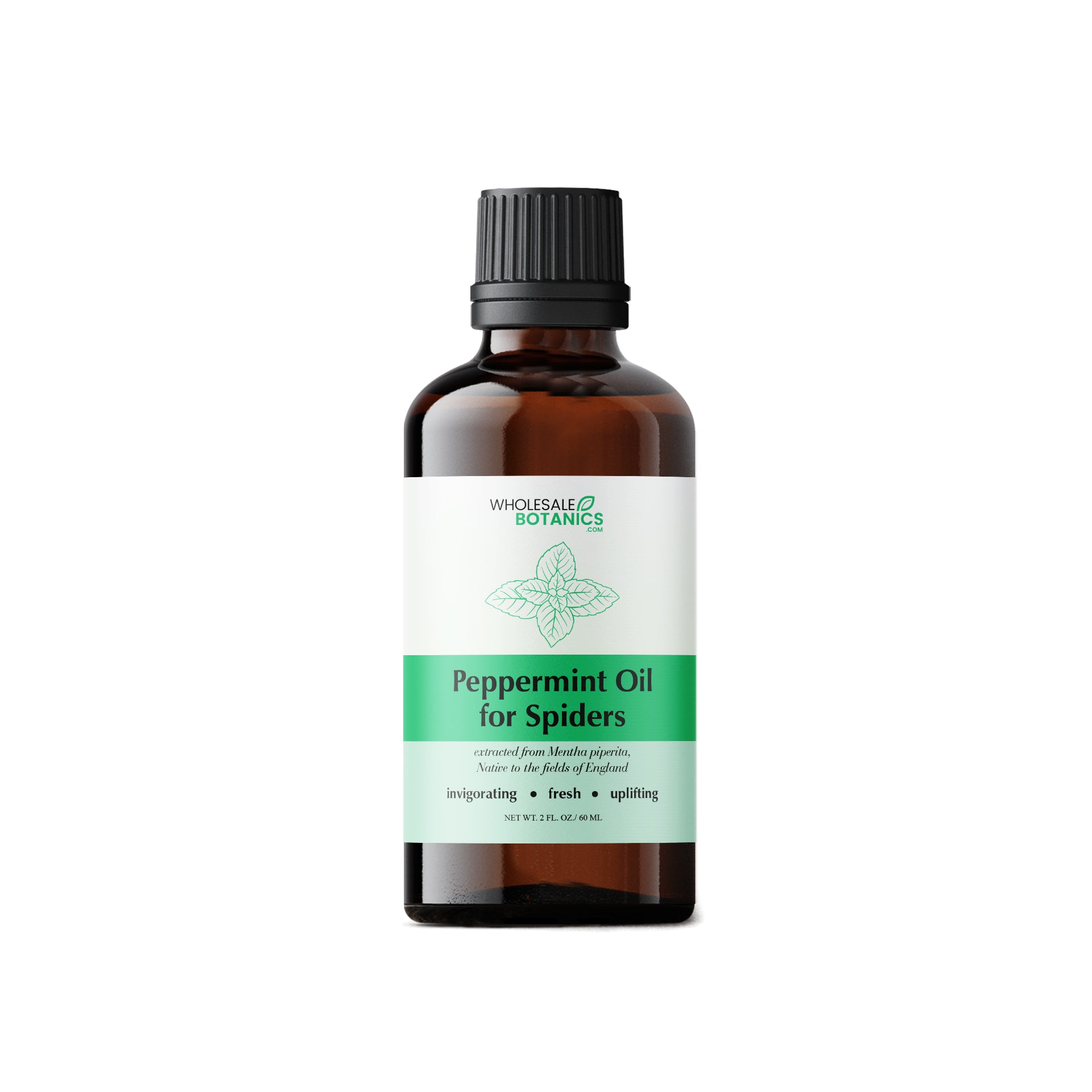 Peppermint Oil for Spiders