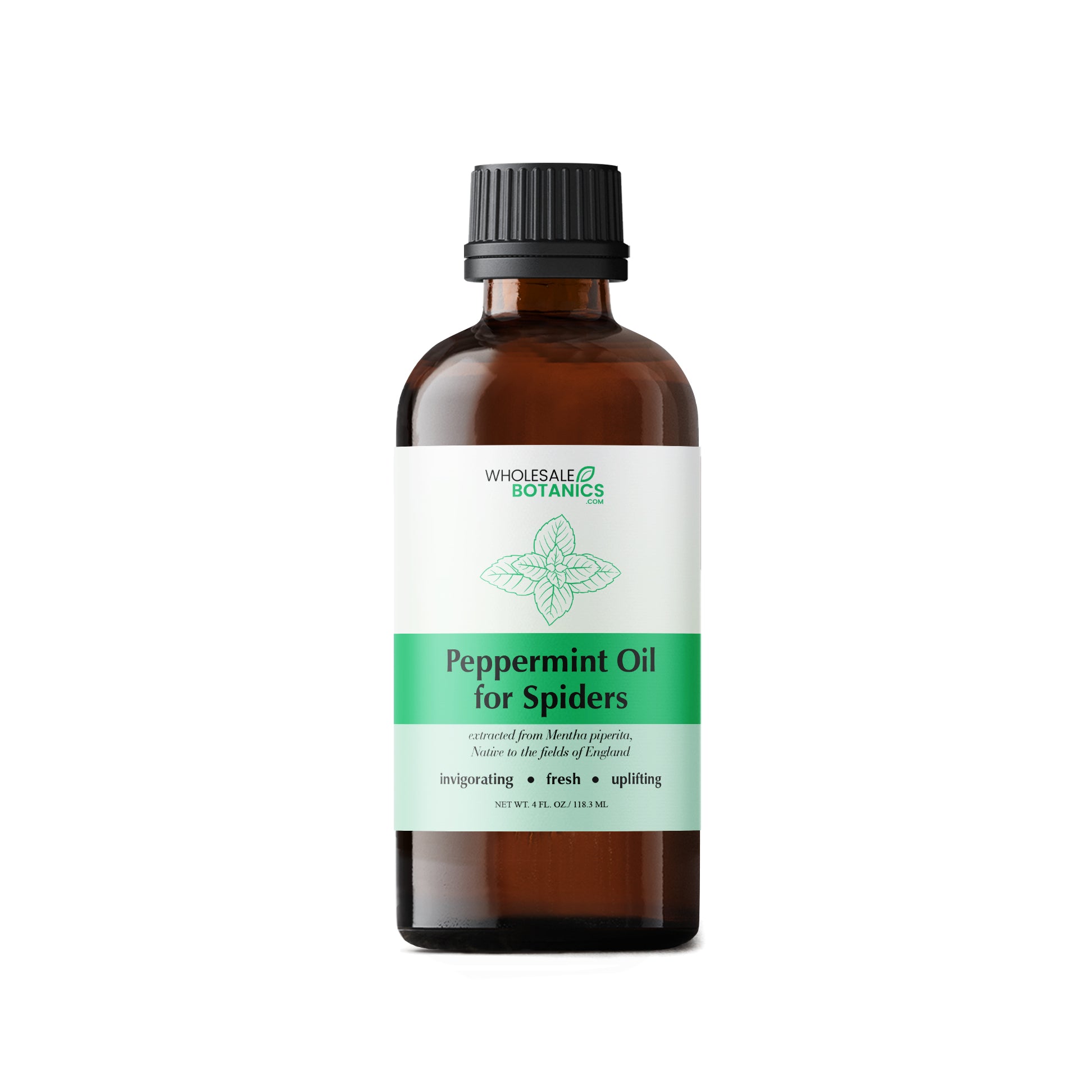 Peppermint Oil for Spiders