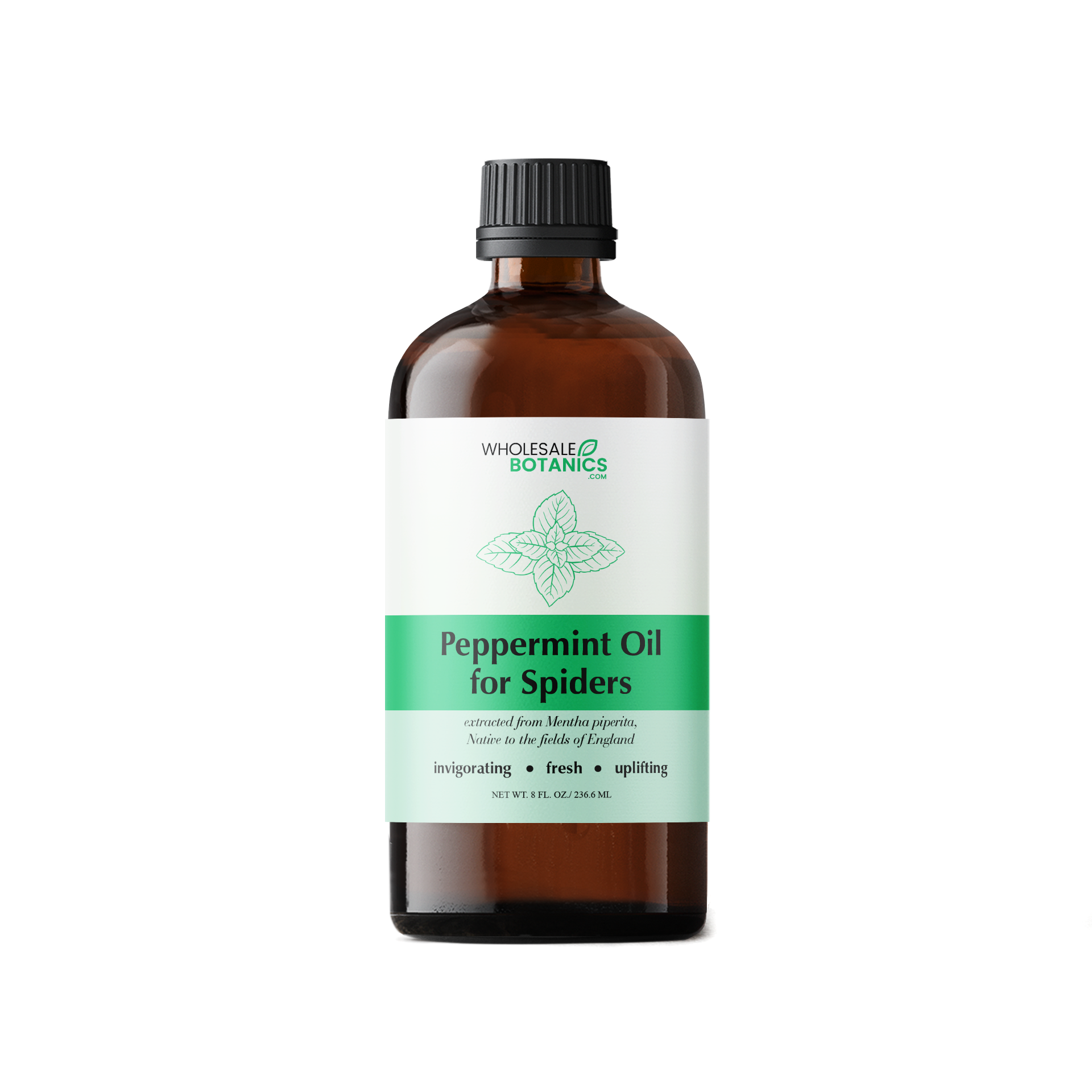 Peppermint Oil for Spiders