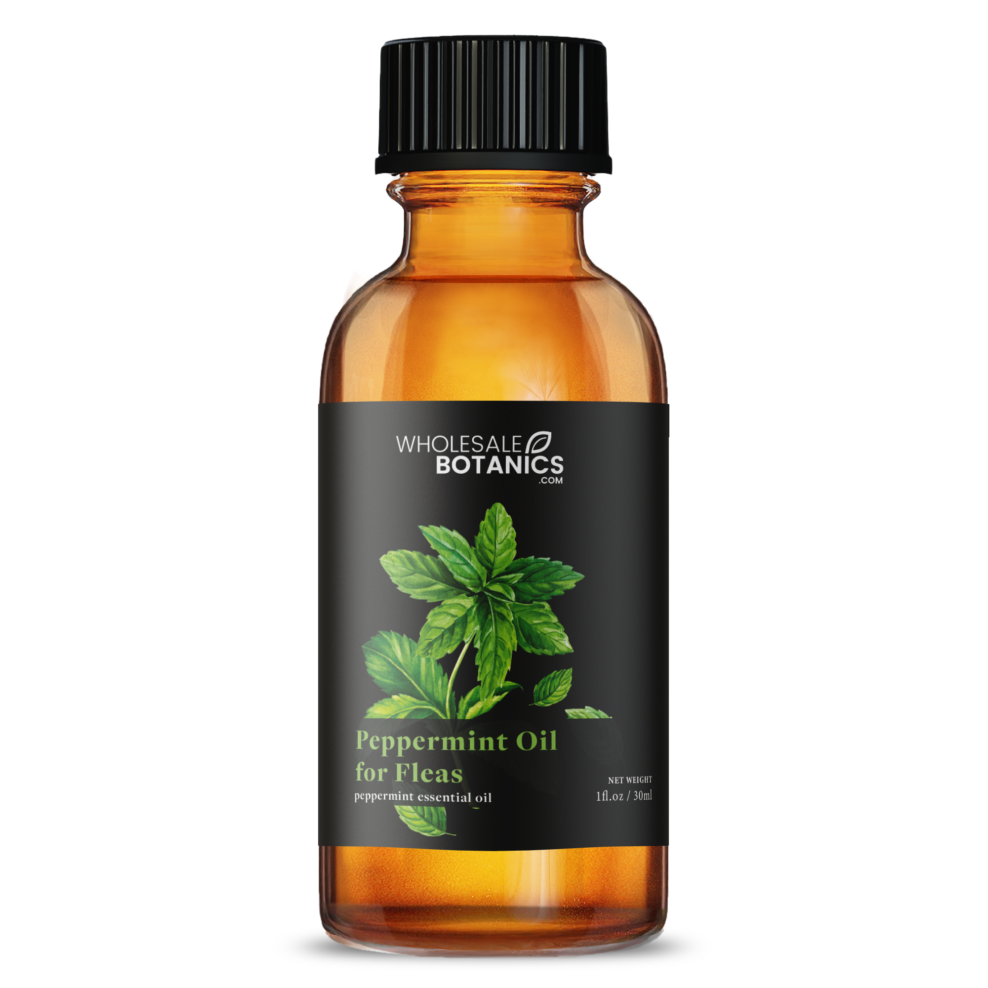 Peppermint Oil for Fleas