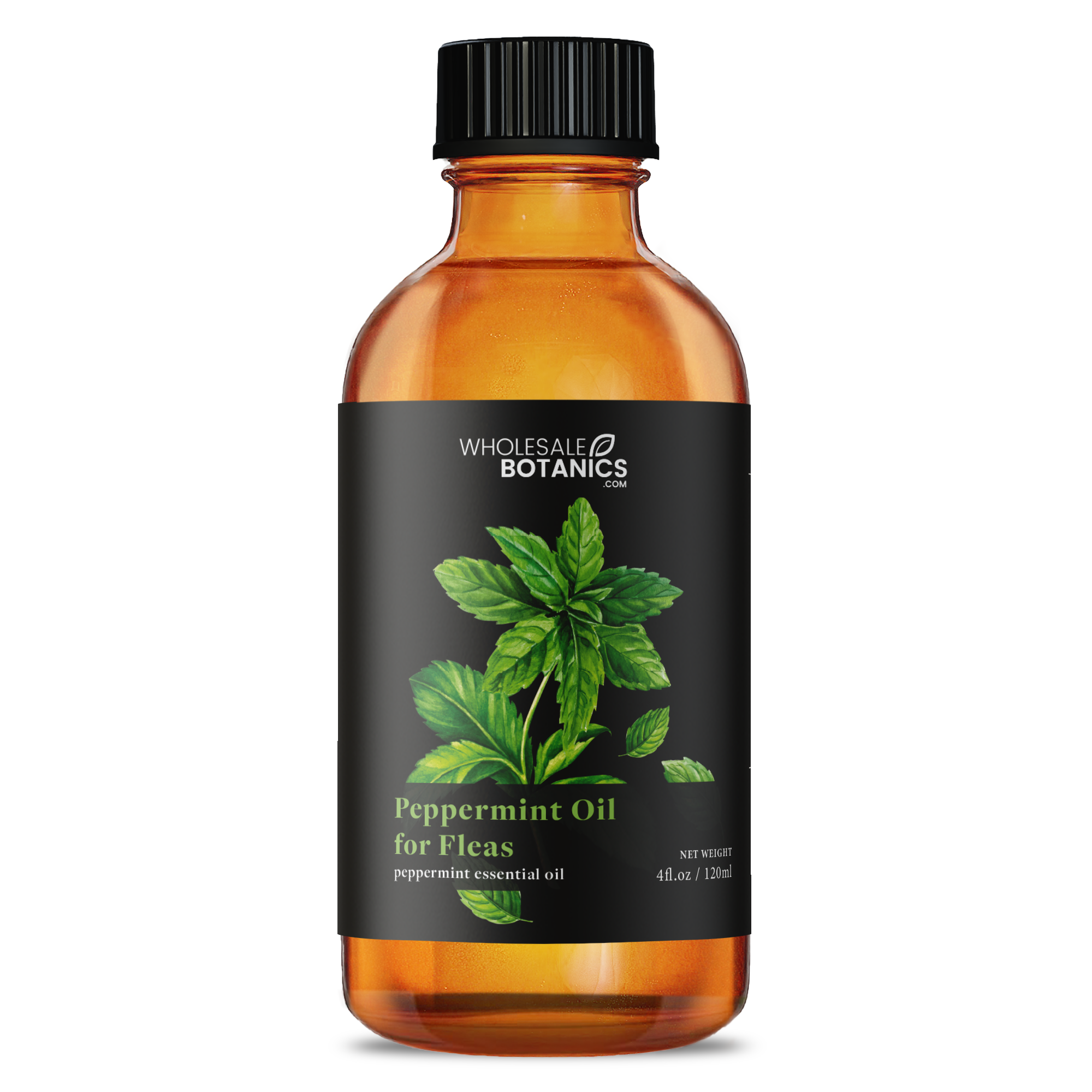 Peppermint Oil for Fleas